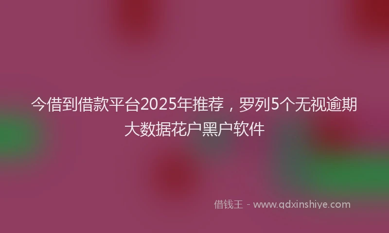 今借到借款平台2025年推荐，罗列5个无视逾期大数据花户黑户软件