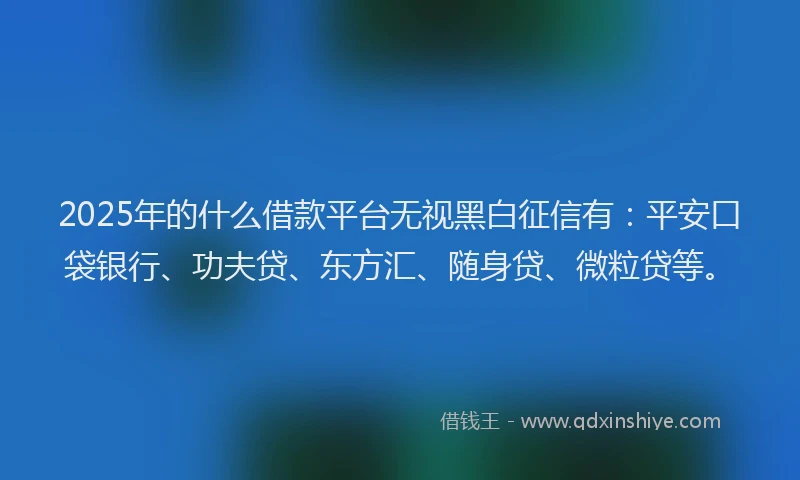 2025年的什么借款平台无视黑白征信有：平安口袋银行、功夫贷、东方汇、随身贷、微粒贷等。