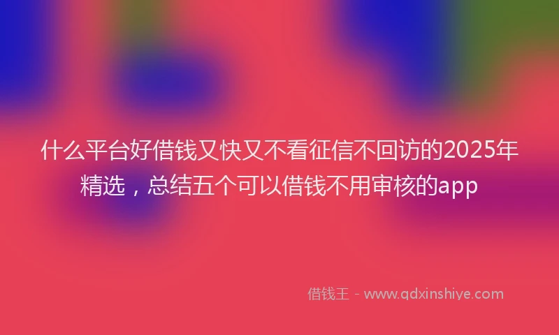 什么平台好借钱又快又不看征信不回访的2025年精选，总结五个可以借钱不用审核的app