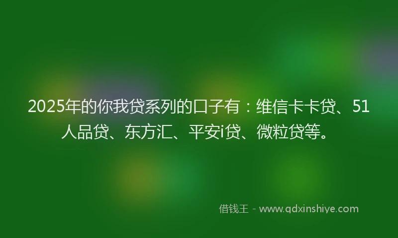 2025年的你我贷系列的口子有：维信卡卡贷、51人品贷、东方汇、平安i贷、微粒贷等。