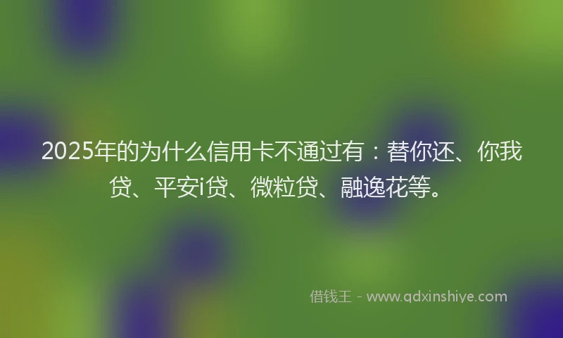 2025年的为什么信用卡不通过有：替你还、你我贷、平安i贷、微粒贷、融逸花等。
