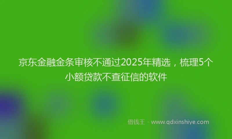 京东金融金条审核不通过2025年精选，梳理5个小额贷款不查征信的软件