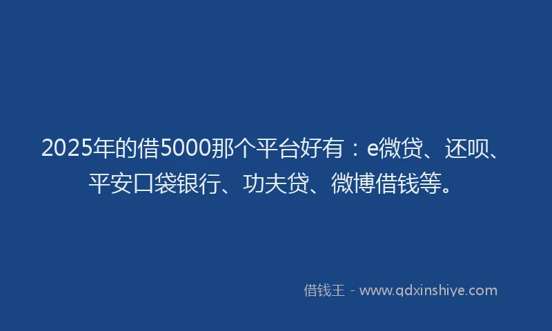 2025年的借5000那个平台好有：e微贷、还呗、平安口袋银行、功夫贷、微博借钱等。