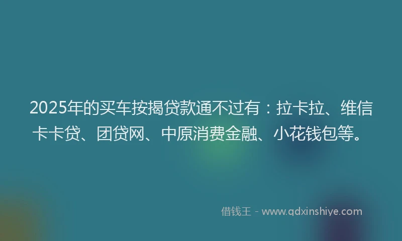 2025年的买车按揭贷款通不过有：拉卡拉、维信卡卡贷、团贷网、中原消费金融、小花钱包等。