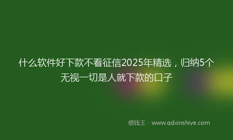 什么软件好下款不看征信2025年精选，归纳5个无视一切是人就下款的口子
