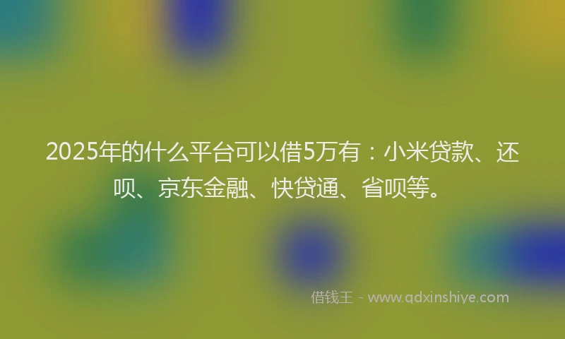 2025年的什么平台可以借5万有：小米贷款、还呗、京东金融、快贷通、省呗等。