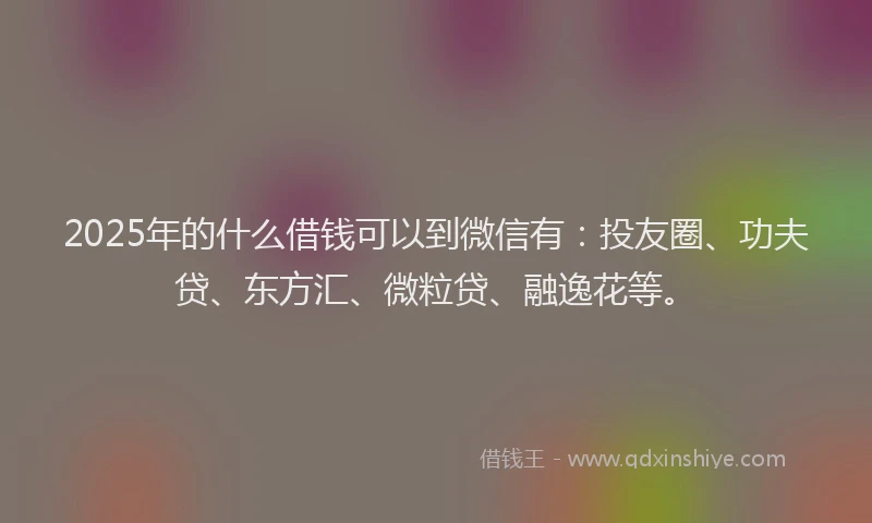 2025年的什么借钱可以到微信有：投友圈、功夫贷、东方汇、微粒贷、融逸花等。