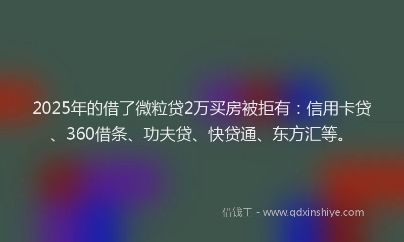2025年的借了微粒贷2万买房被拒有：信用卡贷、360借条、功夫贷、快贷通、东方汇等。