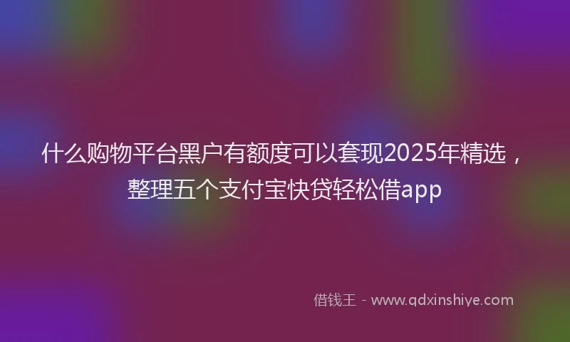 什么购物平台黑户有额度可以套现2025年精选，整理五个支付宝快贷轻松借app