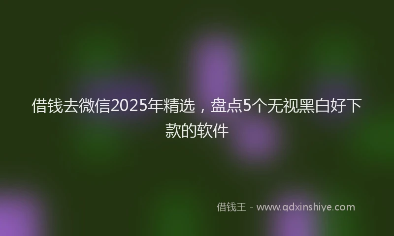 借钱去微信2025年精选，盘点5个无视黑白好下款的软件