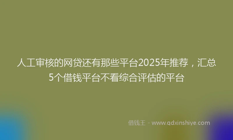 人工审核的网贷还有那些平台2025年推荐，汇总5个借钱平台不看综合评估的平台