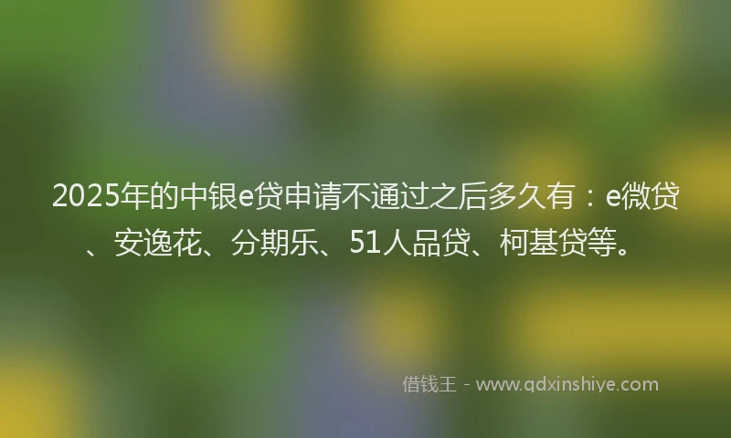 2025年的中银e贷申请不通过之后多久有：e微贷、安逸花、分期乐、51人品贷、柯基贷等。