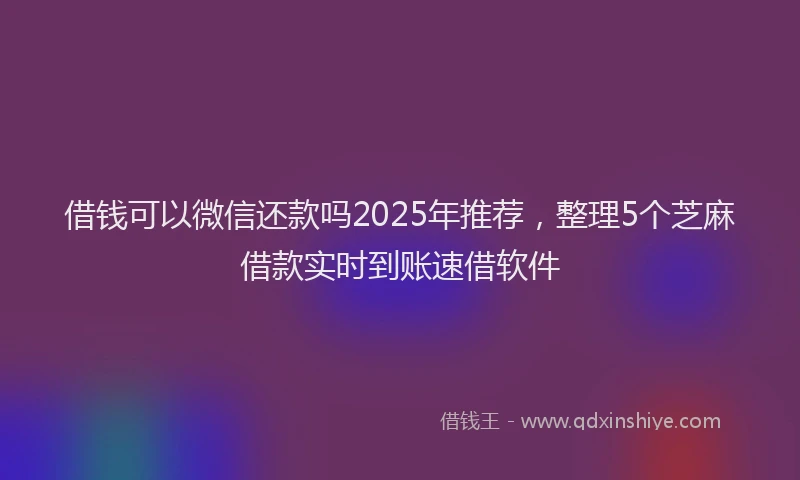 借钱可以微信还款吗2025年推荐，整理5个芝麻借款实时到账速借软件