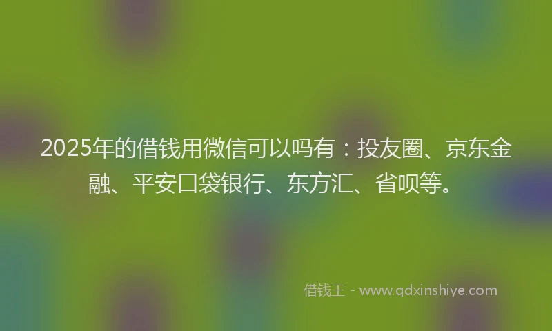 2025年的借钱用微信可以吗有：投友圈、京东金融、平安口袋银行、东方汇、省呗等。