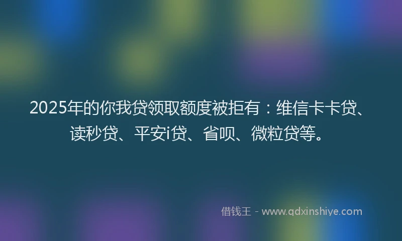 2025年的你我贷领取额度被拒有：维信卡卡贷、读秒贷、平安i贷、省呗、微粒贷等。