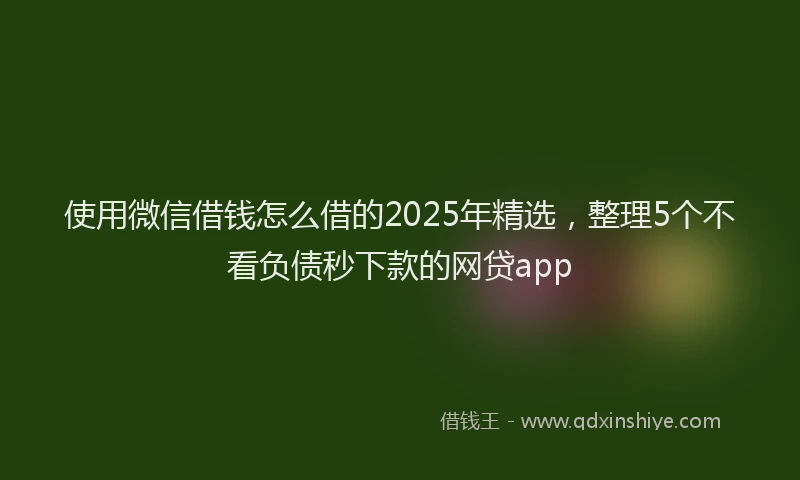使用微信借钱怎么借的2025年精选，整理5个不看负债秒下款的网贷app