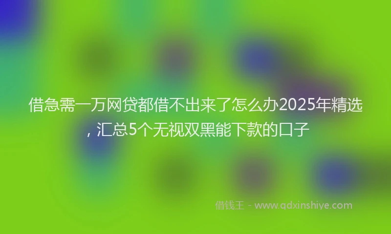 借急需一万网贷都借不出来了怎么办2025年精选，汇总5个无视双黑能下款的口子