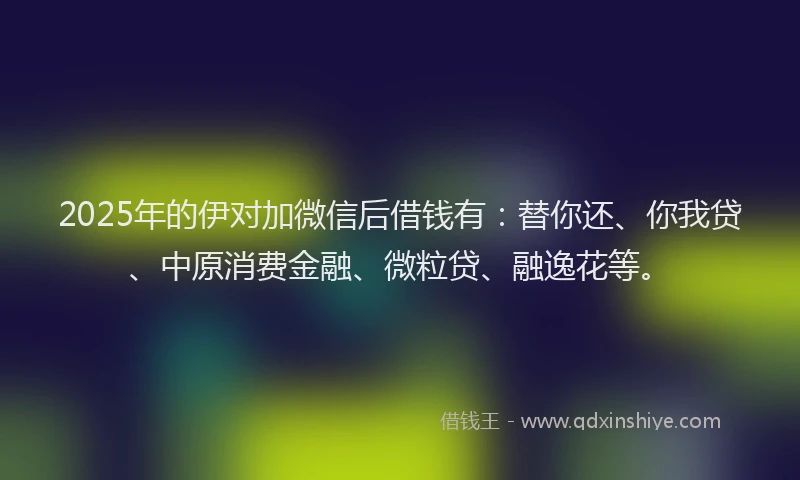 2025年的伊对加微信后借钱有：替你还、你我贷、中原消费金融、微粒贷、融逸花等。