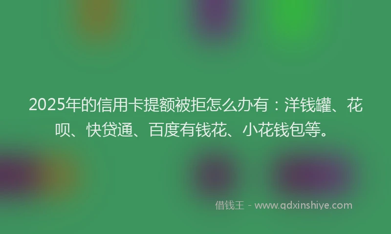 2025年的信用卡提额被拒怎么办有：洋钱罐、花呗、快贷通、百度有钱花、小花钱包等。
