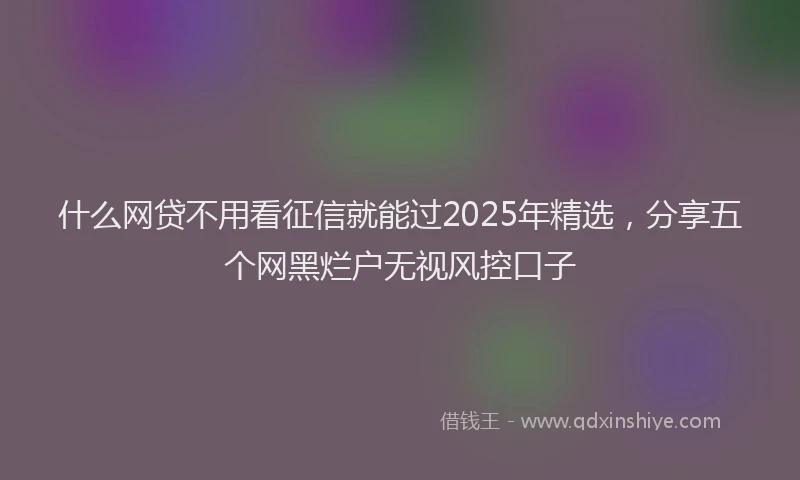 什么网贷不用看征信就能过2025年精选，分享五个网黑烂户无视风控口子