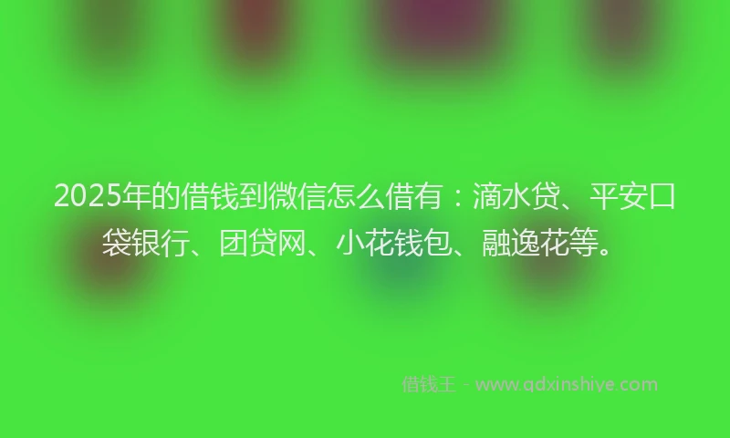 2025年的借钱到微信怎么借有：滴水贷、平安口袋银行、团贷网、小花钱包、融逸花等。