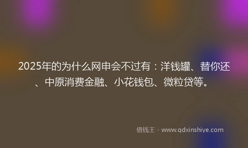2025年的为什么网申会不过有：洋钱罐、替你还、中原消费金融、小花钱包、微粒贷等。