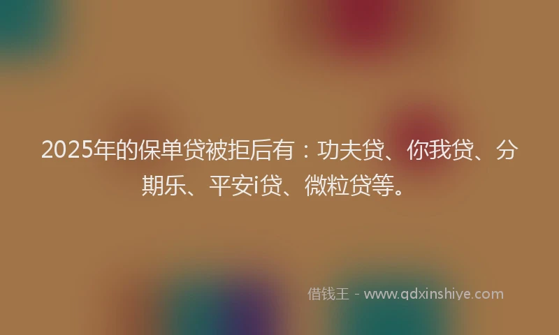 2025年的保单贷被拒后有：功夫贷、你我贷、分期乐、平安i贷、微粒贷等。