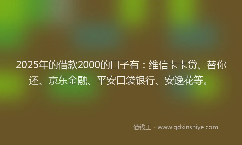 2025年的借款2000的口子有：维信卡卡贷、替你还、京东金融、平安口袋银行、安逸花等。