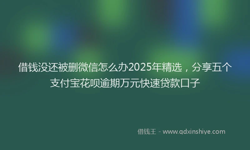 借钱没还被删微信怎么办2025年精选，分享五个支付宝花呗逾期万元快速贷款口子