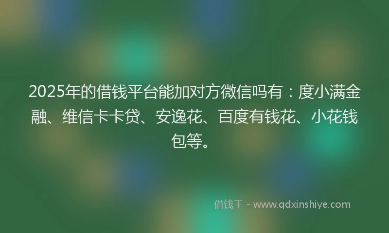 2025年的借钱平台能加对方微信吗有：度小满金融、维信卡卡贷、安逸花、百度有钱花、小花钱包等。