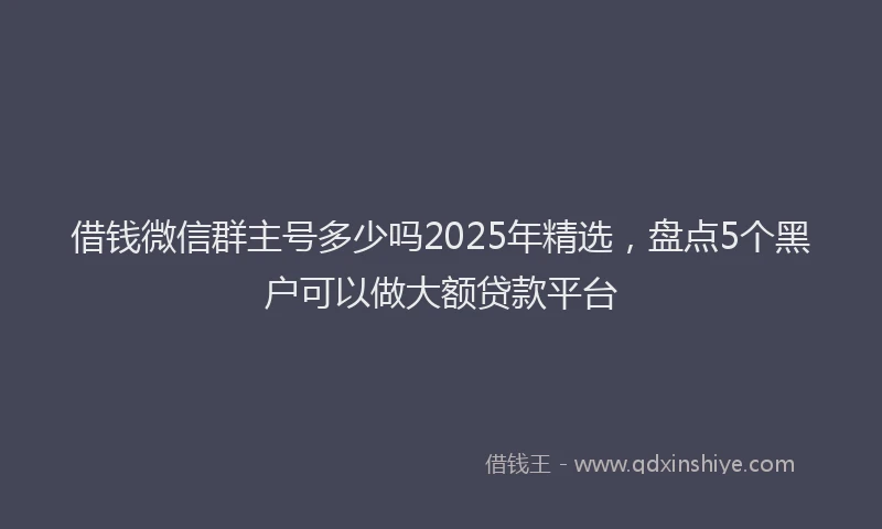 借钱微信群主号多少吗2025年精选，盘点5个黑户可以做大额贷款平台