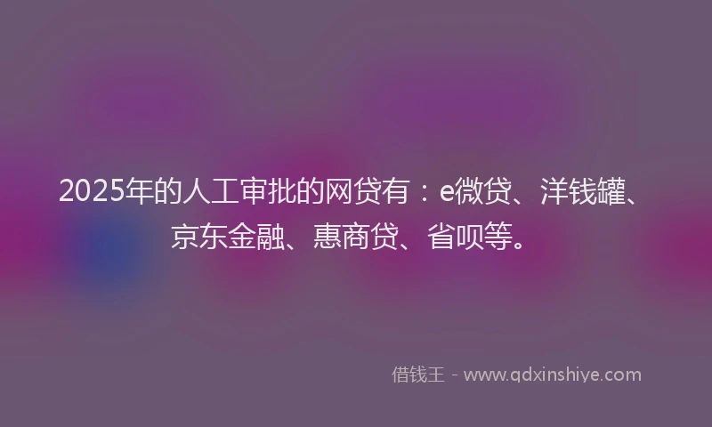 2025年的人工审批的网贷有：e微贷、洋钱罐、京东金融、惠商贷、省呗等。
