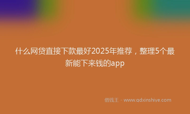 什么网贷直接下款最好2025年推荐，整理5个最新能下来钱的app