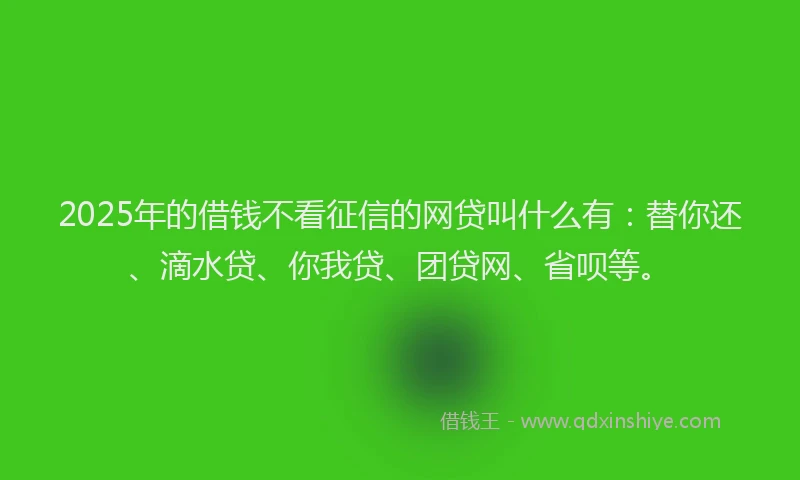 2025年的借钱不看征信的网贷叫什么有：替你还、滴水贷、你我贷、团贷网、省呗等。