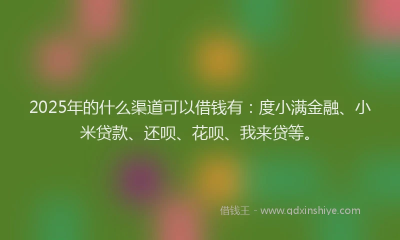 2025年的什么渠道可以借钱有：度小满金融、小米贷款、还呗、花呗、我来贷等。