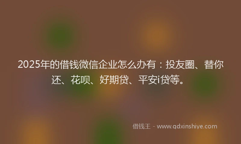2025年的借钱微信企业怎么办有：投友圈、替你还、花呗、好期贷、平安i贷等。