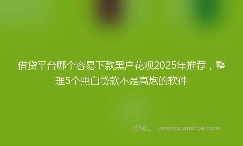 借贷平台哪个容易下款黑户花呗2025年推荐，整理5个黑白贷款不是高炮的软件
