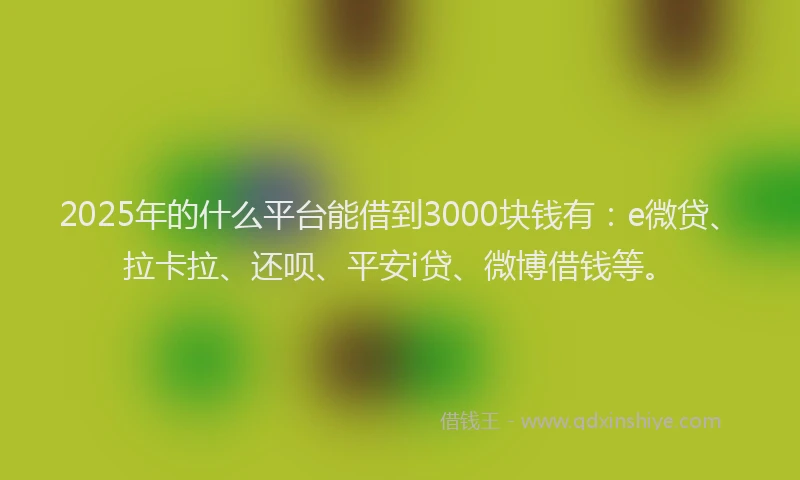2025年的什么平台能借到3000块钱有：e微贷、拉卡拉、还呗、平安i贷、微博借钱等。