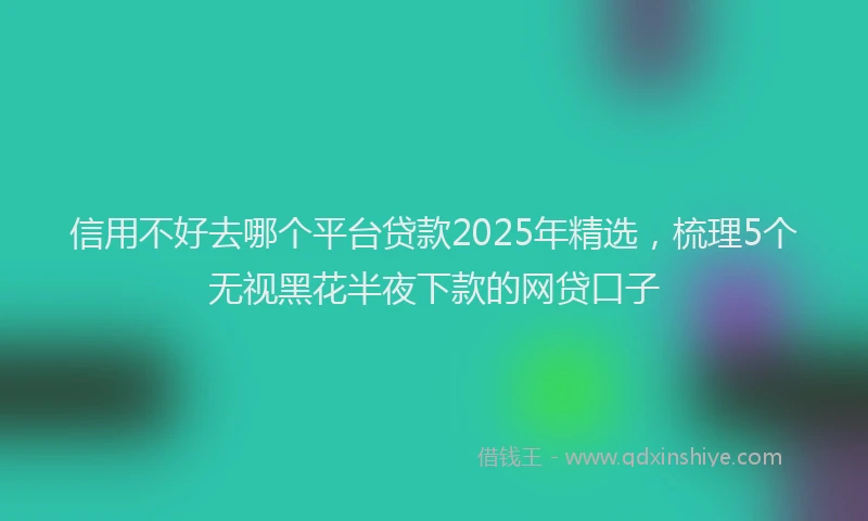 信用不好去哪个平台贷款2025年精选，梳理5个无视黑花半夜下款的网贷口子