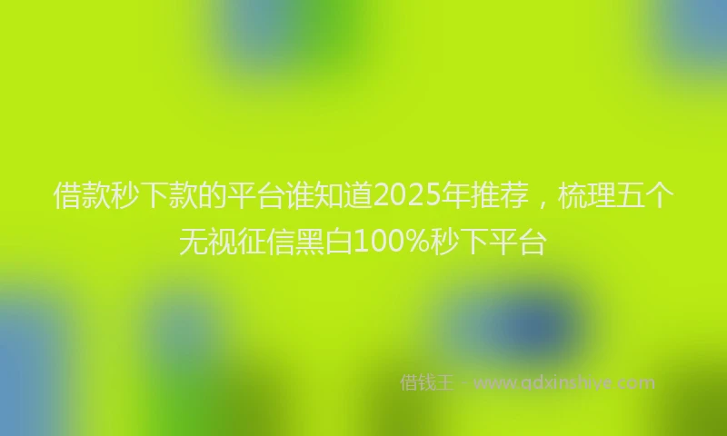 借款秒下款的平台谁知道2025年推荐，梳理五个无视征信黑白100%秒下平台