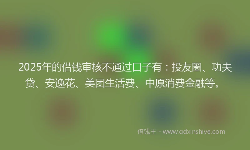 2025年的借钱审核不通过口子有：投友圈、功夫贷、安逸花、美团生活费、中原消费金融等。