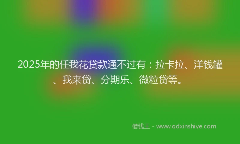 2025年的任我花贷款通不过有：拉卡拉、洋钱罐、我来贷、分期乐、微粒贷等。