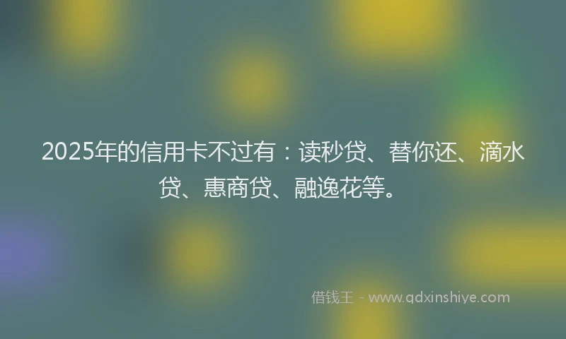 2025年的信用卡不过有：读秒贷、替你还、滴水贷、惠商贷、融逸花等。