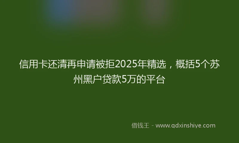信用卡还清再申请被拒2025年精选，概括5个苏州黑户贷款5万的平台