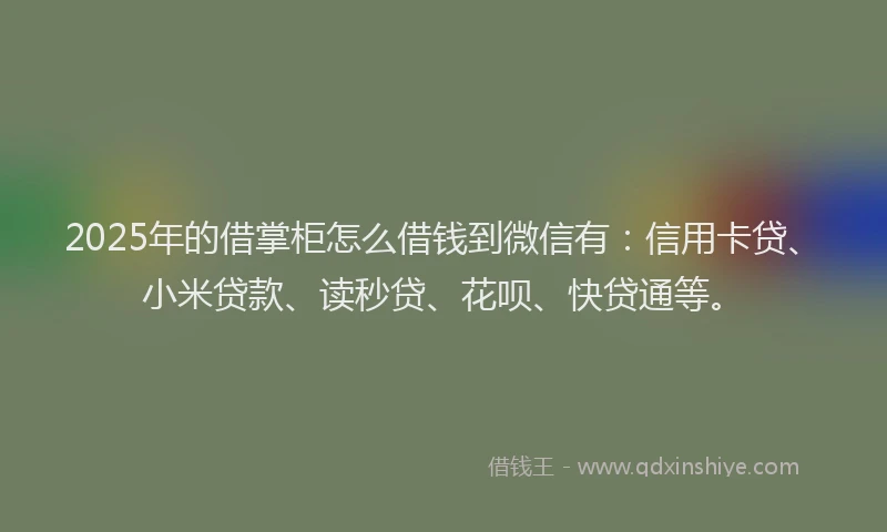 2025年的借掌柜怎么借钱到微信有：信用卡贷、小米贷款、读秒贷、花呗、快贷通等。
