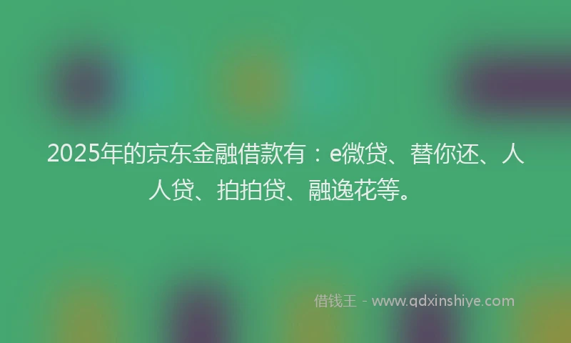 2025年的京东金融借款有：e微贷、替你还、人人贷、拍拍贷、融逸花等。