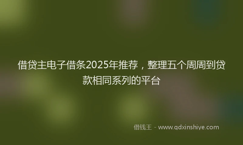 借贷主电子借条2025年推荐，整理五个周周到贷款相同系列的平台