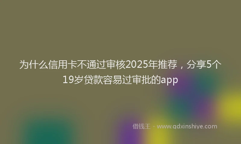 为什么信用卡不通过审核2025年推荐，分享5个19岁贷款容易过审批的app