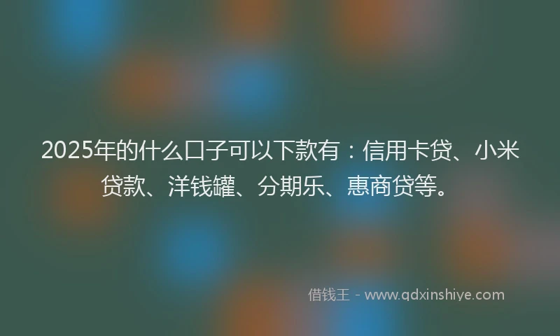2025年的什么口子可以下款有：信用卡贷、小米贷款、洋钱罐、分期乐、惠商贷等。
