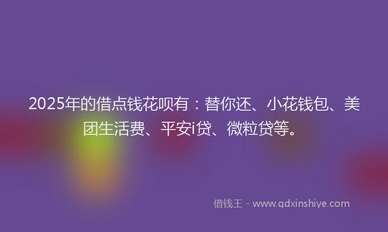 2025年的借点钱花呗有：替你还、小花钱包、美团生活费、平安i贷、微粒贷等。